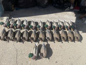 Duck hunting decoys