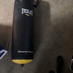Everlast Boxing Punching Bag