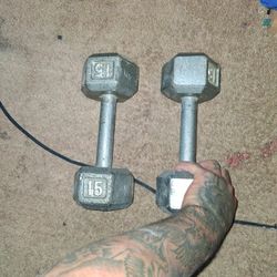 15 Lbs Dumbells