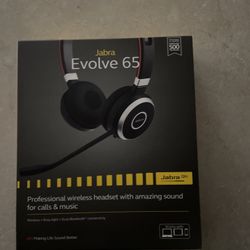 Wireless Headset For Professional  