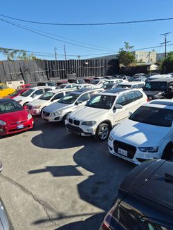 Public auto auctions