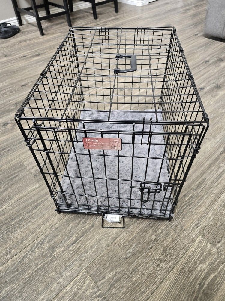 Pet Carrier Abd Accessories