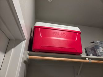 Igloo Cooler