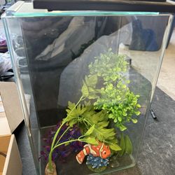 Fish Tank