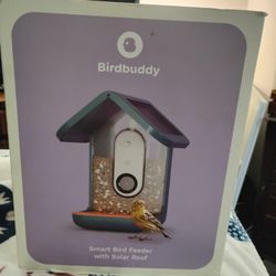 HD Video smart Bird Feeder 