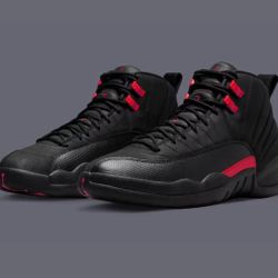Jordan 12 Bloodline
