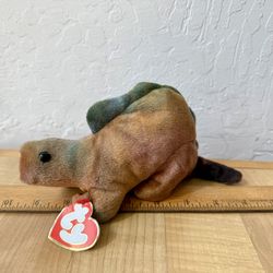 1995 TY Beanie Babies Dinosaur Steg With Tag Error Reading “Stey” Plush Toy