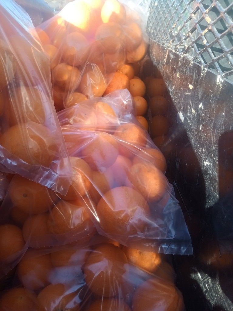 Naranjas Dulces