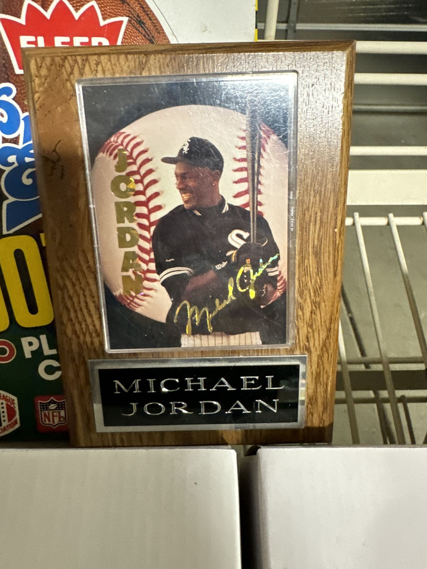 Michael Jordan Baseball Card