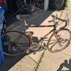 Man's Size Bicycle 