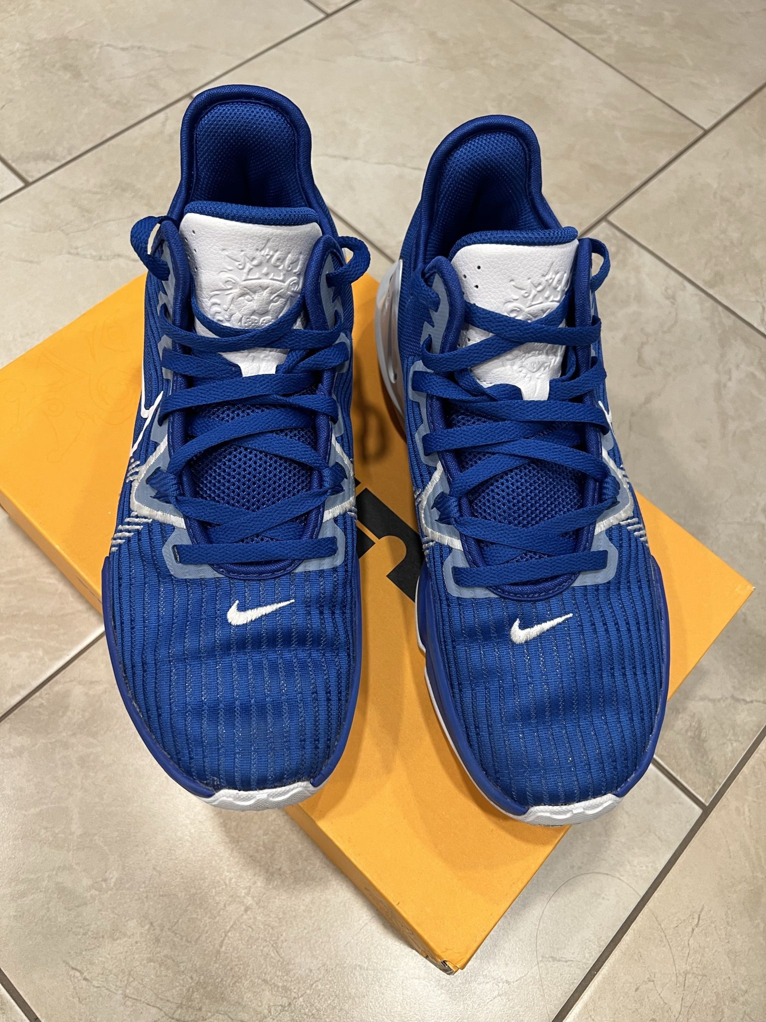 Nike Basketball Shoes LeBron James