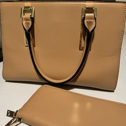 Tote Bag W/ Matching Wallet 
