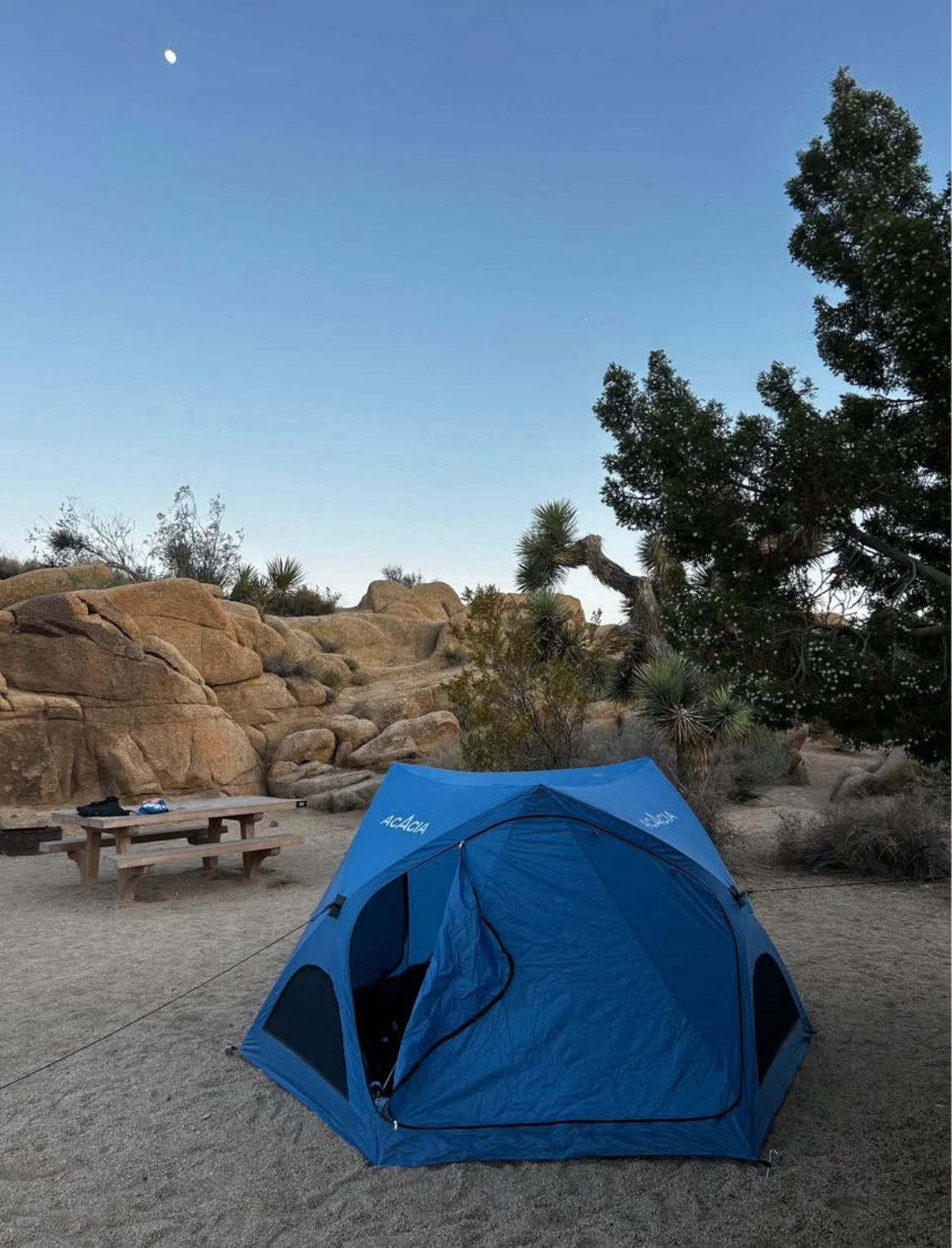 Tent