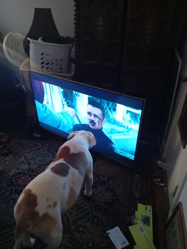 55 inch LG TV