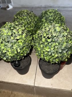 Artificial Plants