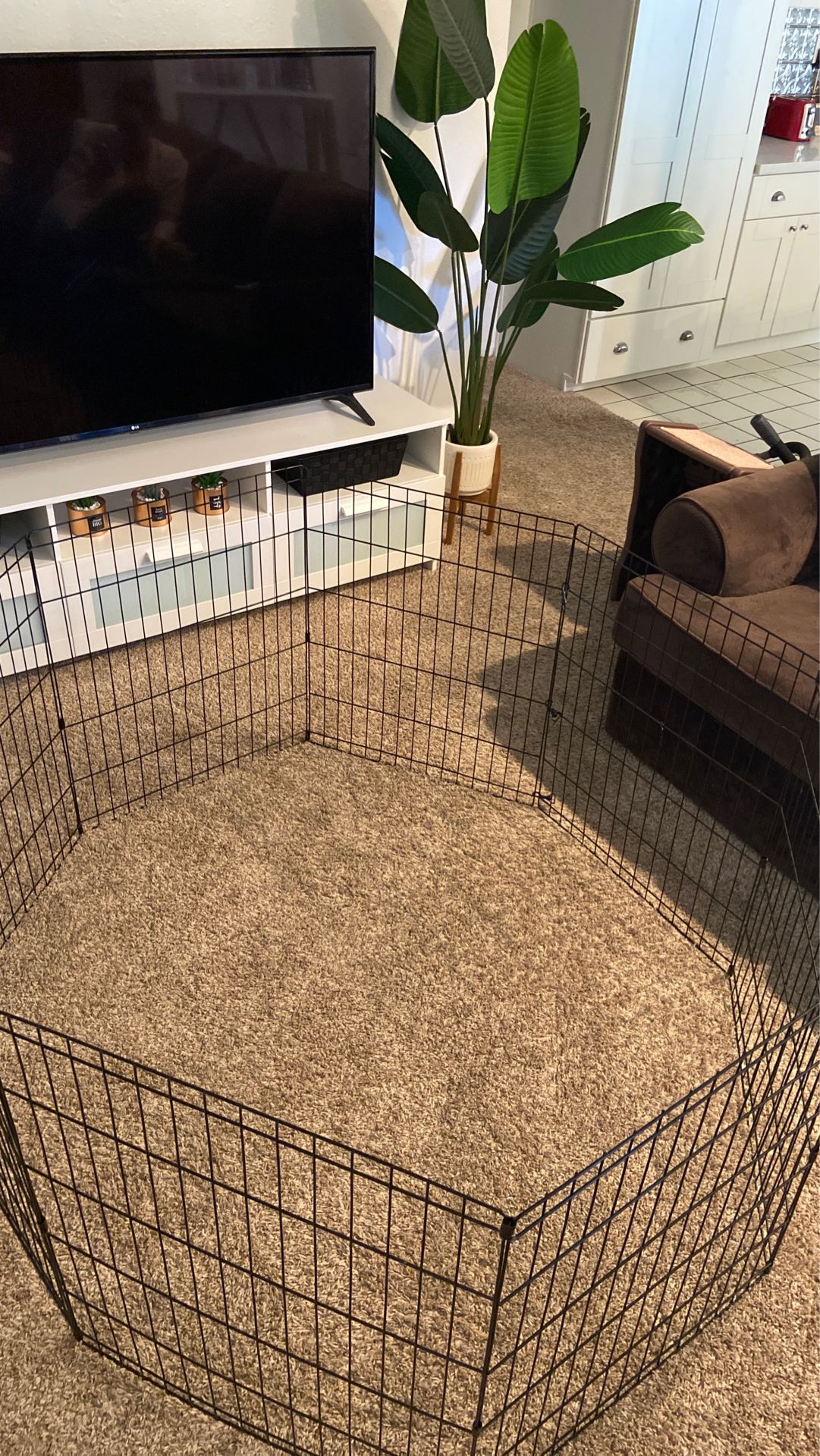 Midwest Homes Pet Folding Metal Exercise Pen