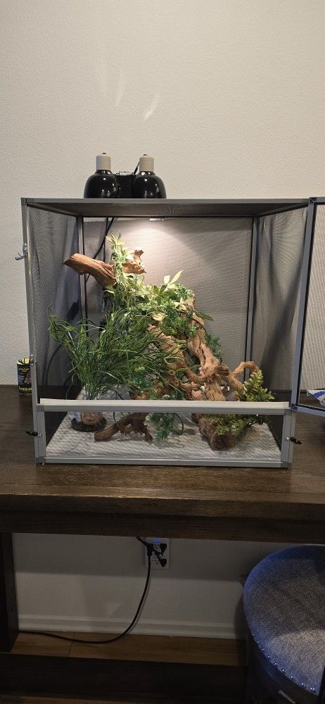 Complete Chameleon Enclosure
