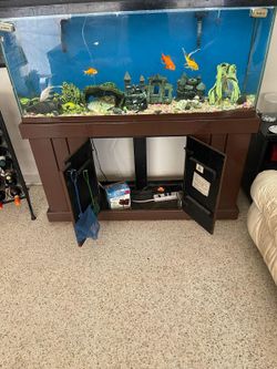 Complete Fish Tank