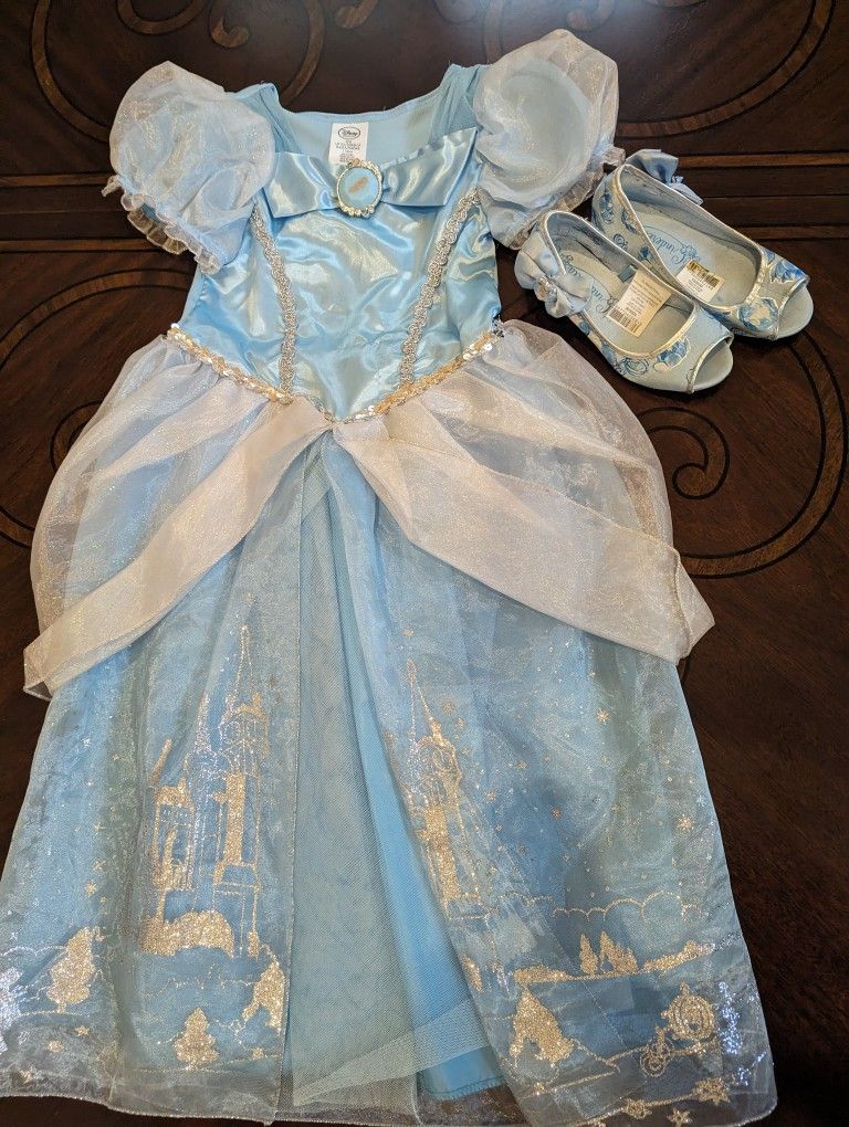 Cinderella Costume 