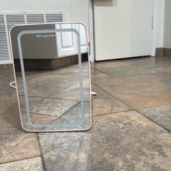 Frigidaire Mini Fridge
