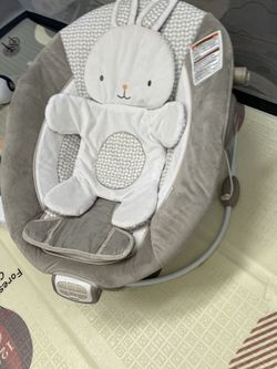 Baby Bouncer 