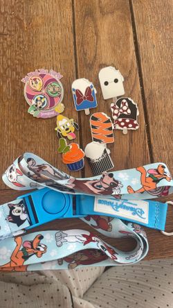 Disney pins with necklace