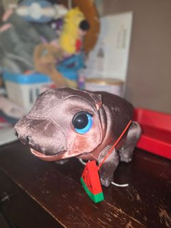 Pets alive hippo