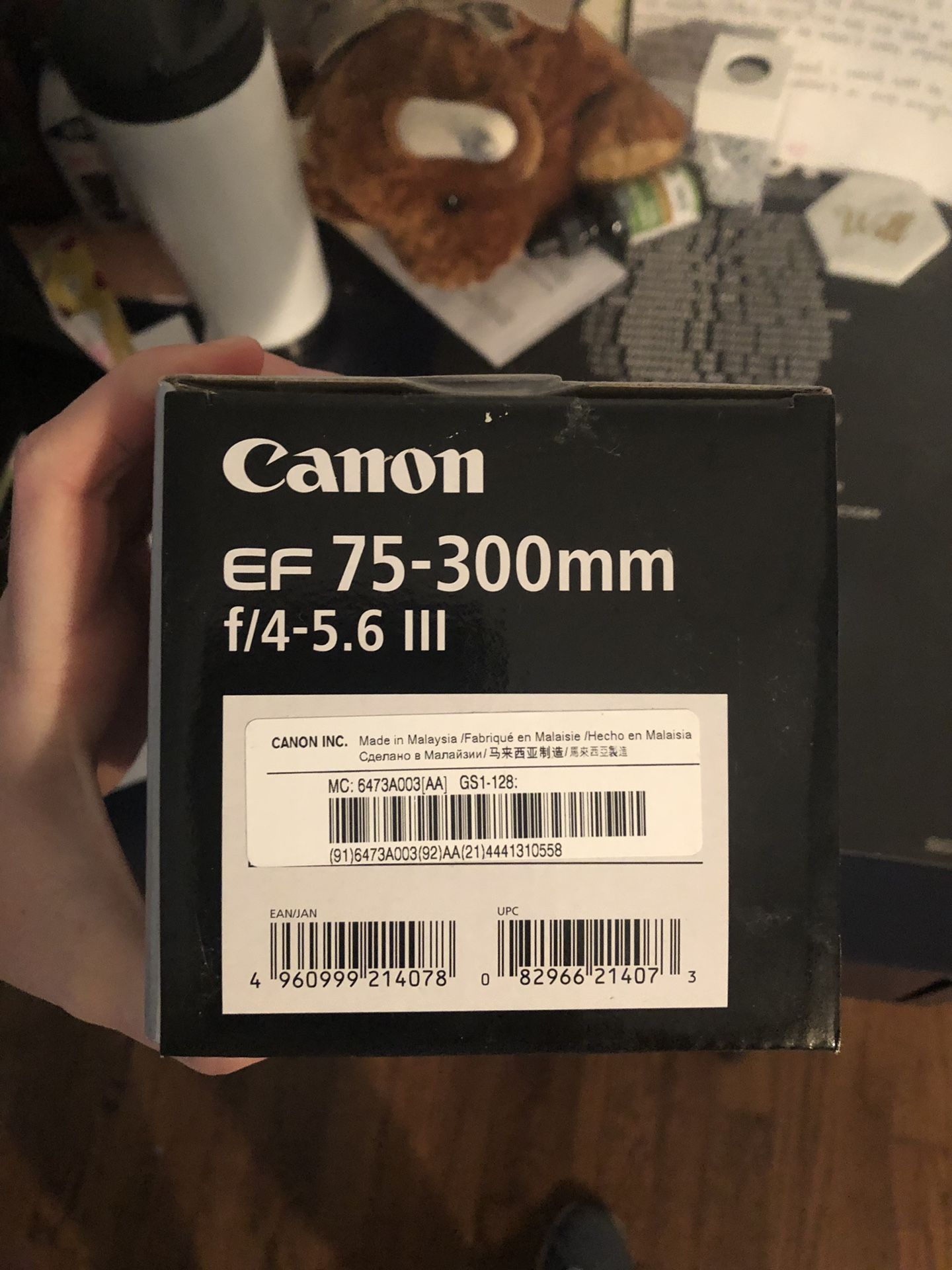 Canon EF 75-300 mm lens