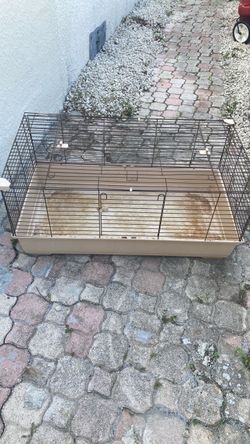 Bunny cage