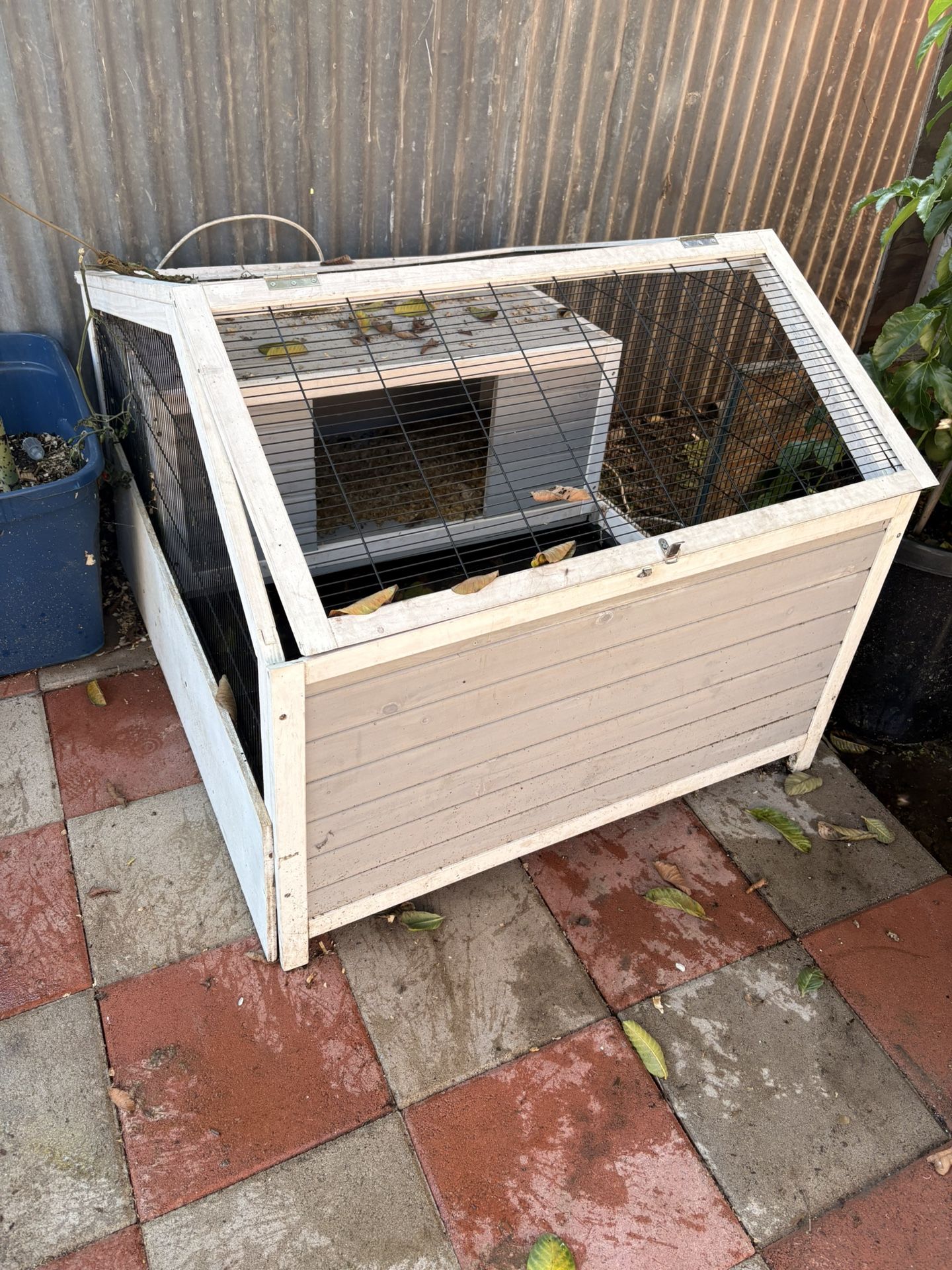 Chicken Coop