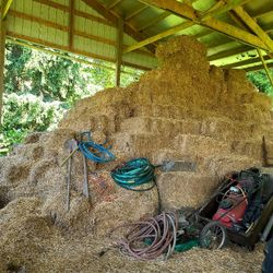 Free Stack Of Hay You Haul. Approx 200 Bales Left