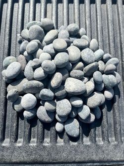 Mexican Beach Peabbles