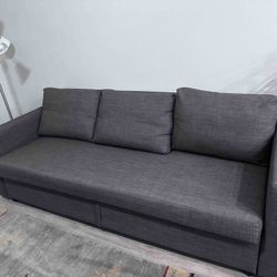 Ikea Friheten Sleeper Sofa