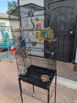 Parrot bird cage with wheels
