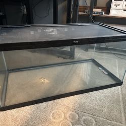 Reptile Tank (40 Gal)