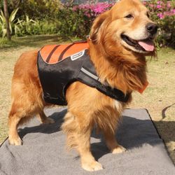 Life jacket for you dog