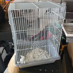 Bird Cage 