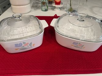 2 new casserole dishes