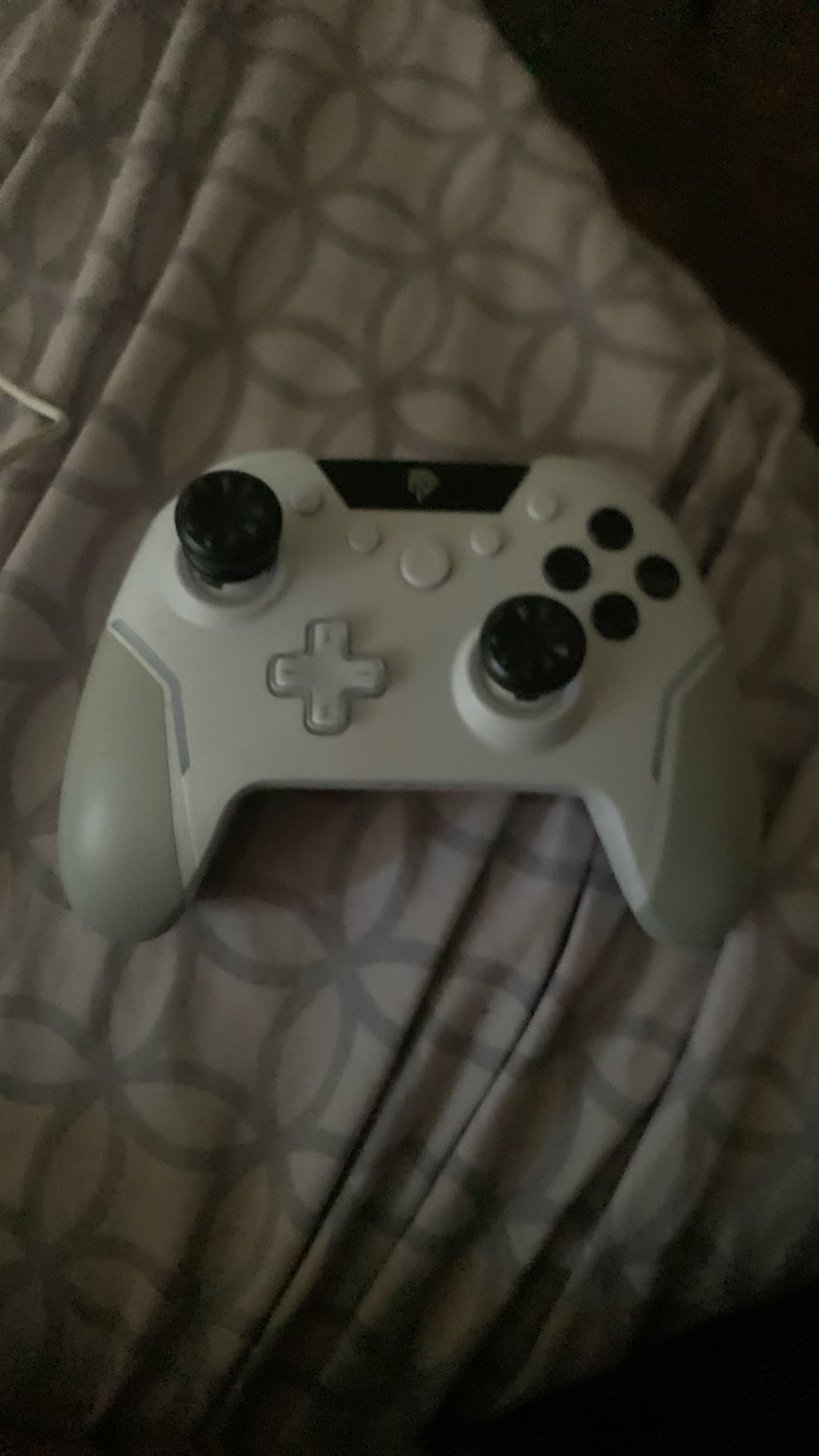 Controller With Padles