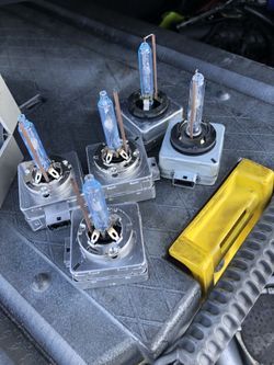 Xenon Headlight Bulbs 