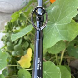 Phenix Black Diamond 760H 25-60 7 Foot 6