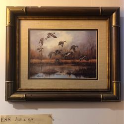 “Ducks off the pond”?