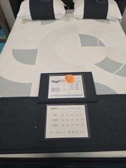 Poinsett Hybrid Mattress