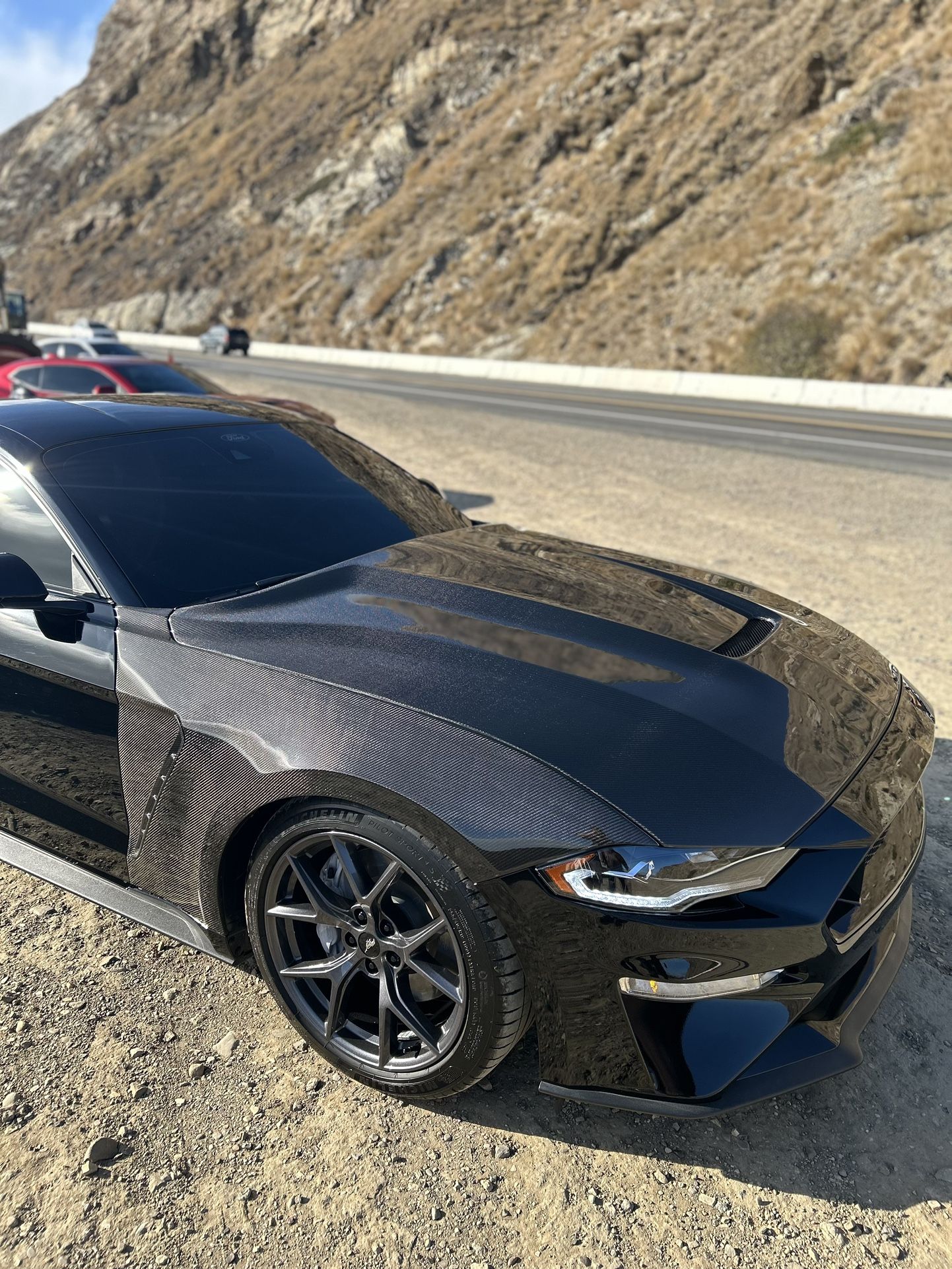 Mustang Carbon Hood