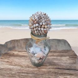 Beach Decor Sea Shells In Glass Vase