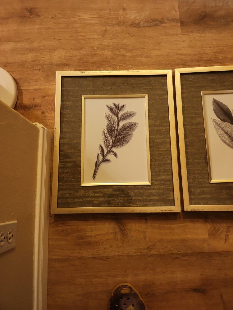 2 Pictures Of Plants