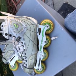 Vector Rollerblade