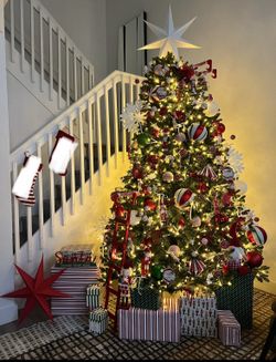 King Of Christmas Tree With Lights 