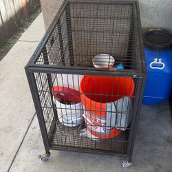 Dog Kennel