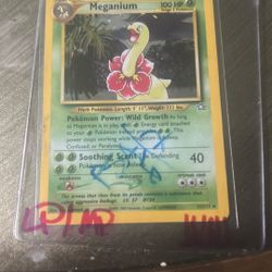 Meganium
